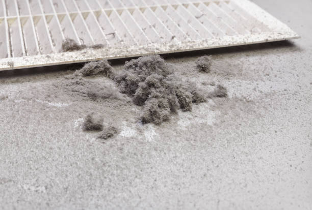 Best Ductwork Cleaning Services  in Barnesville, GA